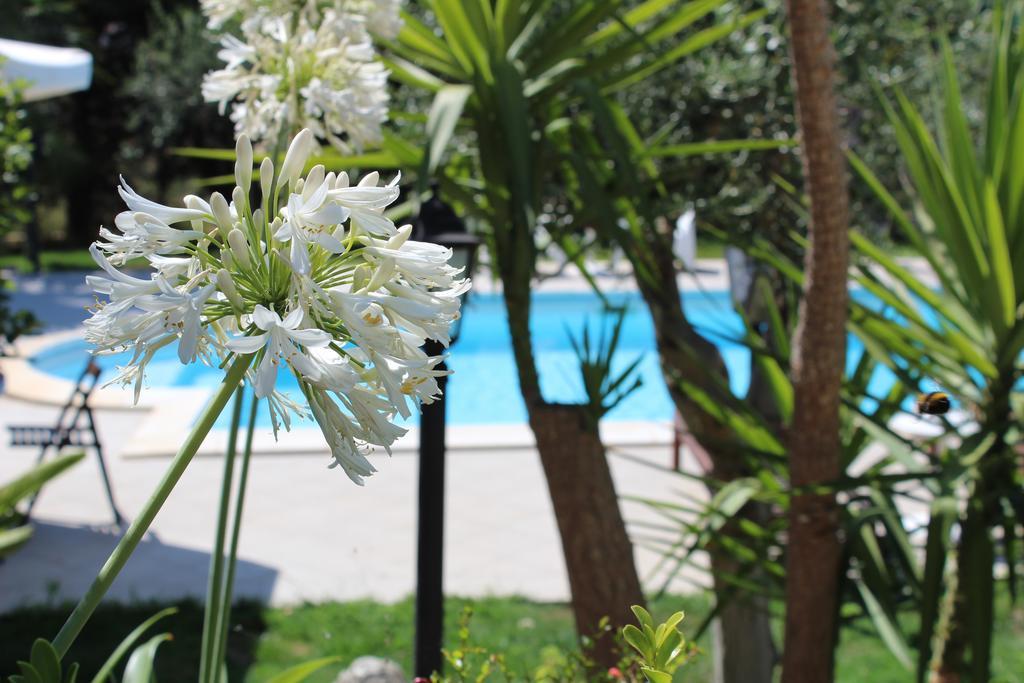 Villa Orchidea Luxury B&B 이스피카 외부 사진